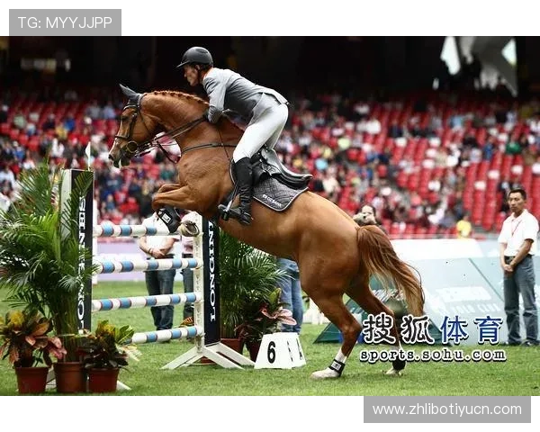 爱体育国际娱乐：安全可靠的在线体育娱乐平台保障你的每一次投注体验