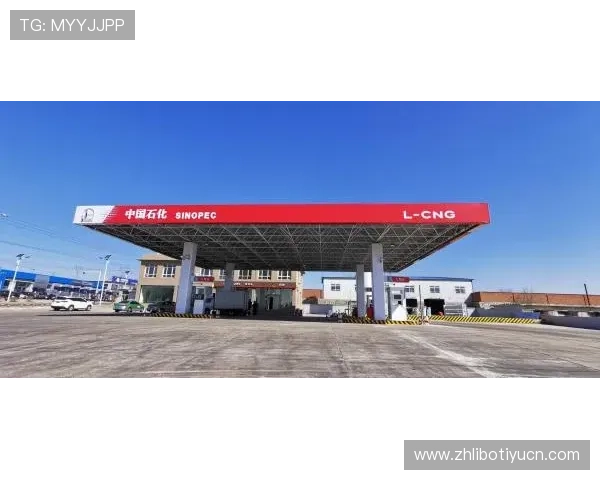 亚蒪体育会员登录流程中的常见错误及避免方法，确保顺利进入个人账户